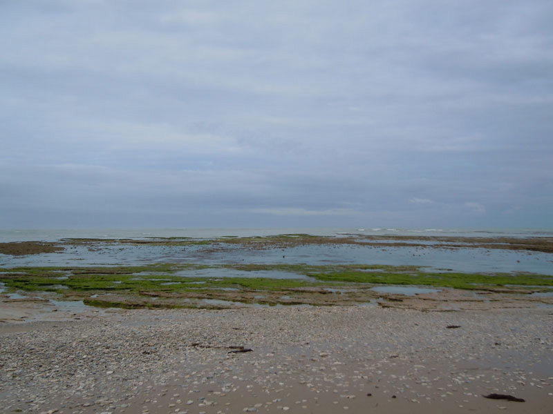 DSCN0095