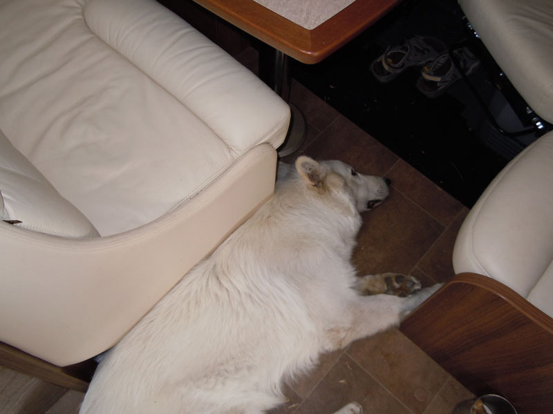 DSCN0208