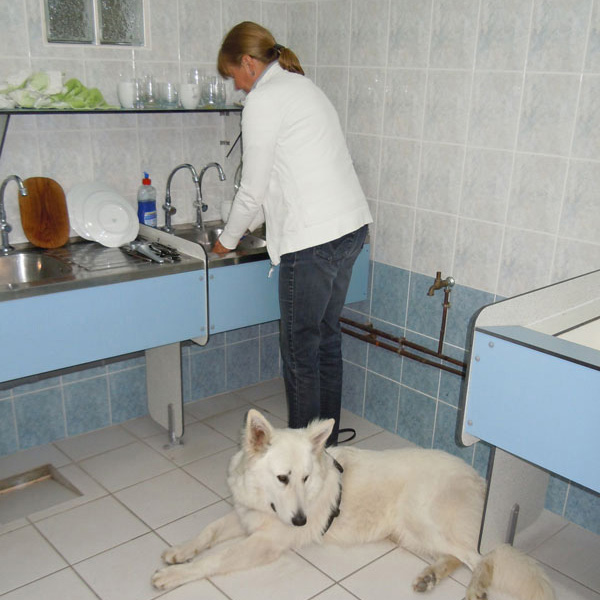 DSCN0250_d