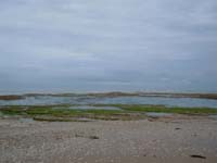 DSCN0095