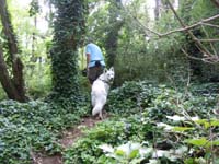 DSCN0168