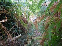 DSCN0171