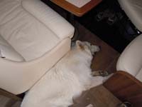 DSCN0208