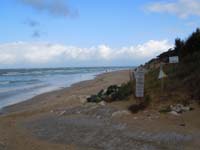 DSCN0219