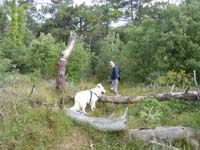 DSCN0220