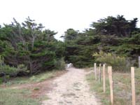 DSCN0226