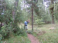 DSCN0266