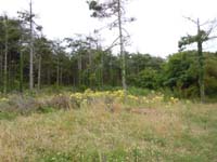 DSCN0279