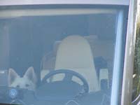 DSCN0311