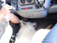 DSCN0314