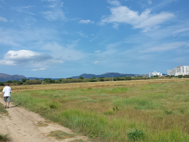 20150614_164219