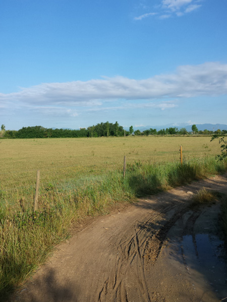 20150615_083409