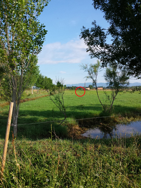 20150615_084206_b