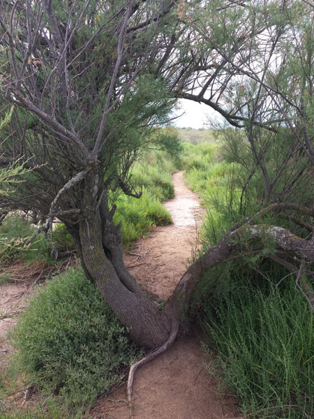 20150616_101229