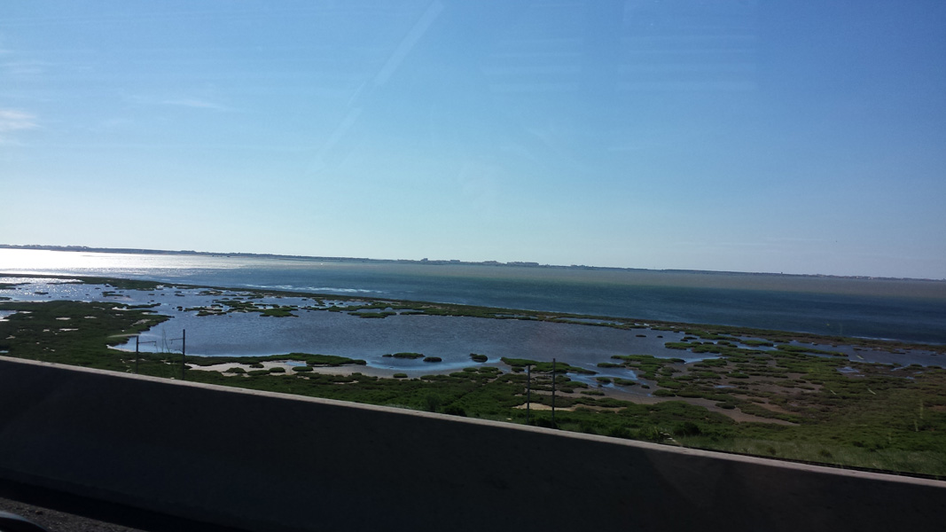 20150619_094813