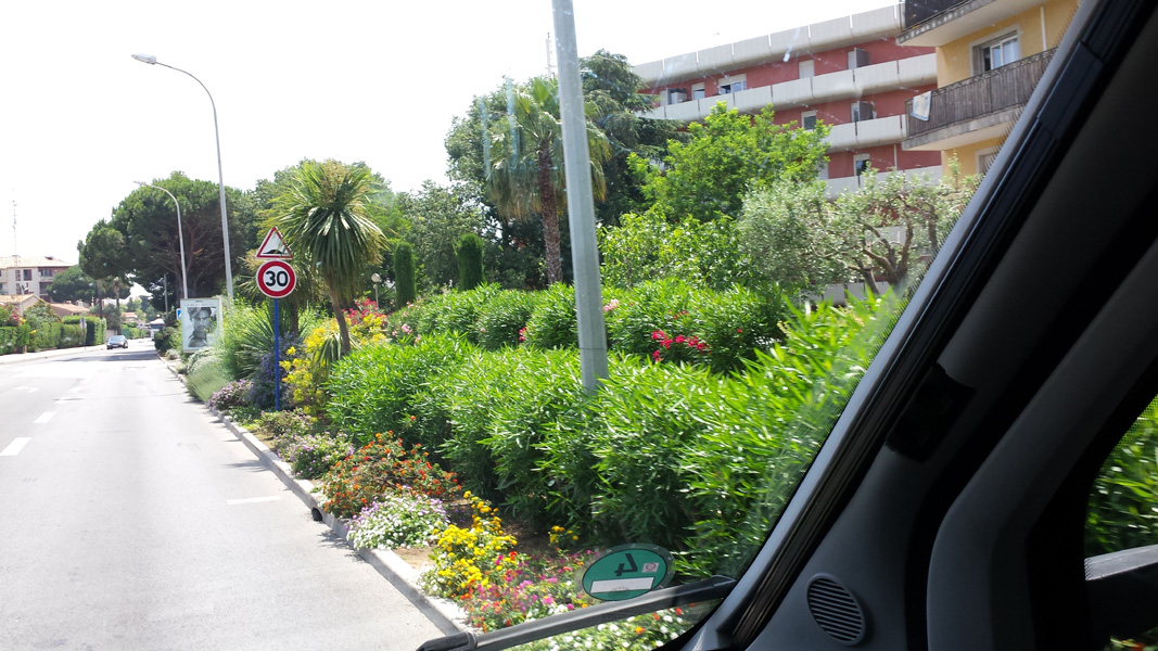 20150619_135857