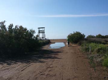 20150615_091812