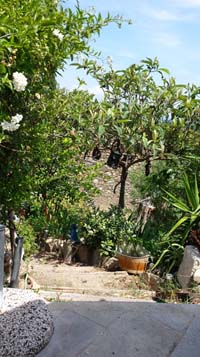 20150621_123547