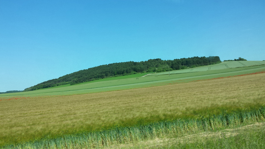 20150605_094359