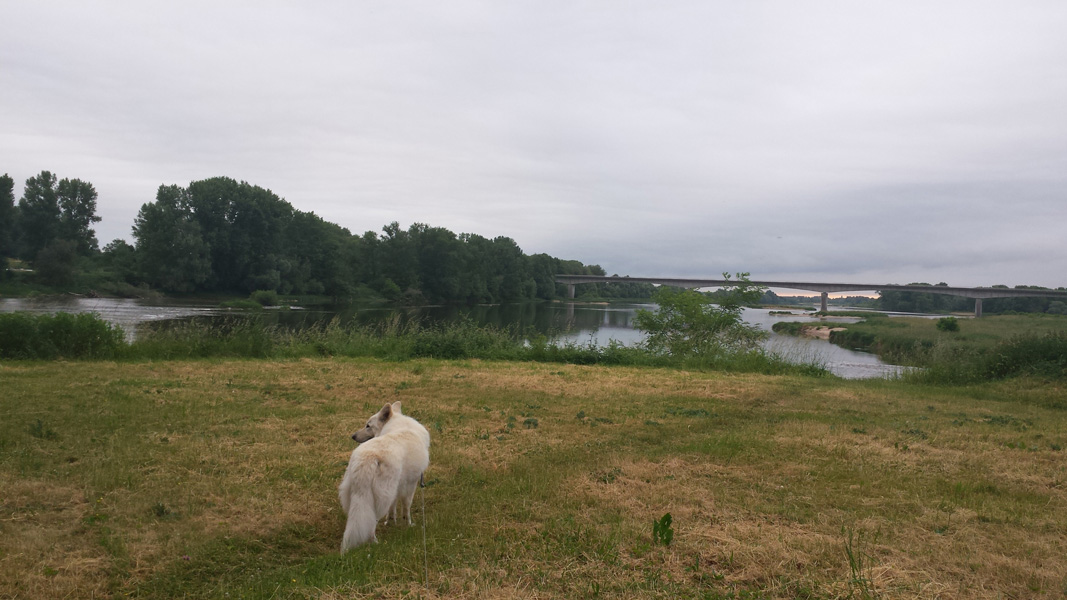 20150606_072436