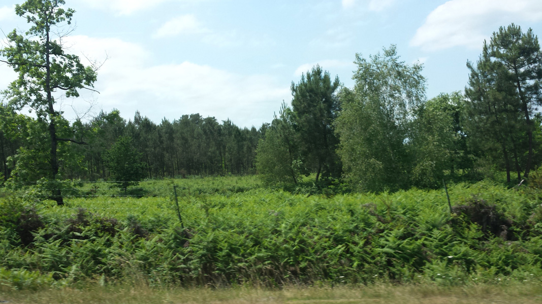 20150606_142650