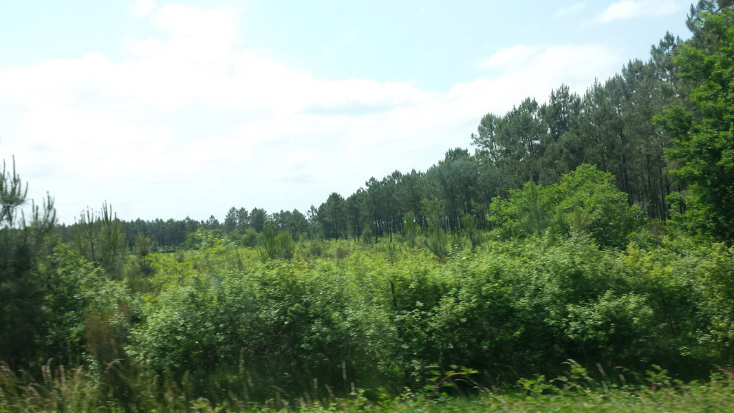 20150606_142804