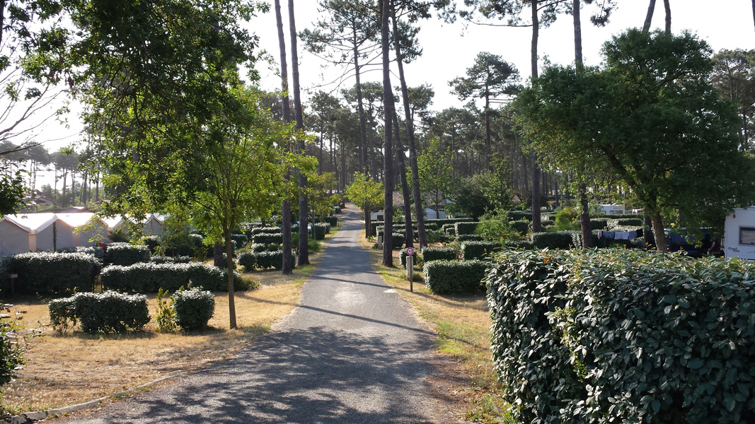 20150607_093740