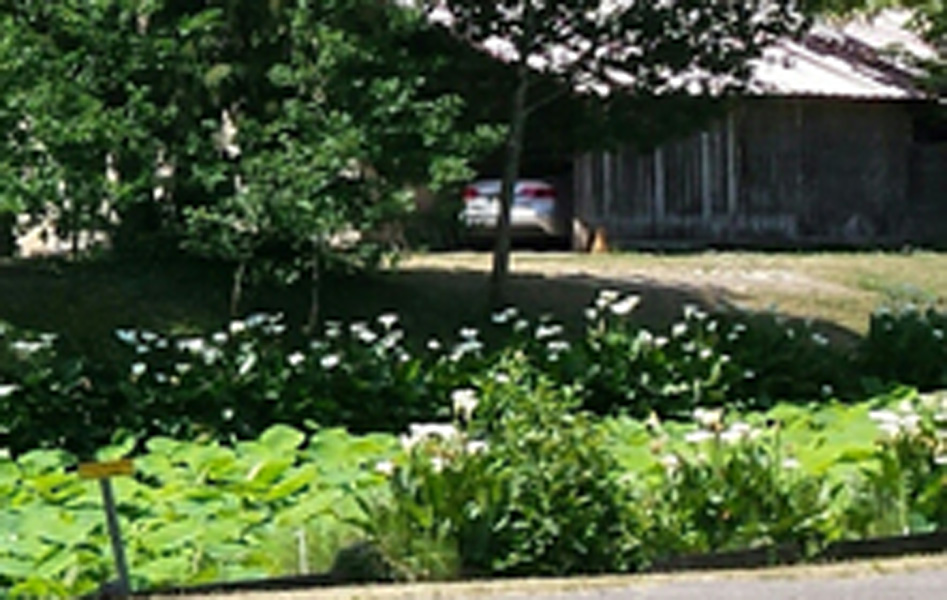 20150607_123139-1-1-1