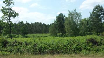 20150606_142650