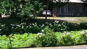 20150607_123139-1-1-1