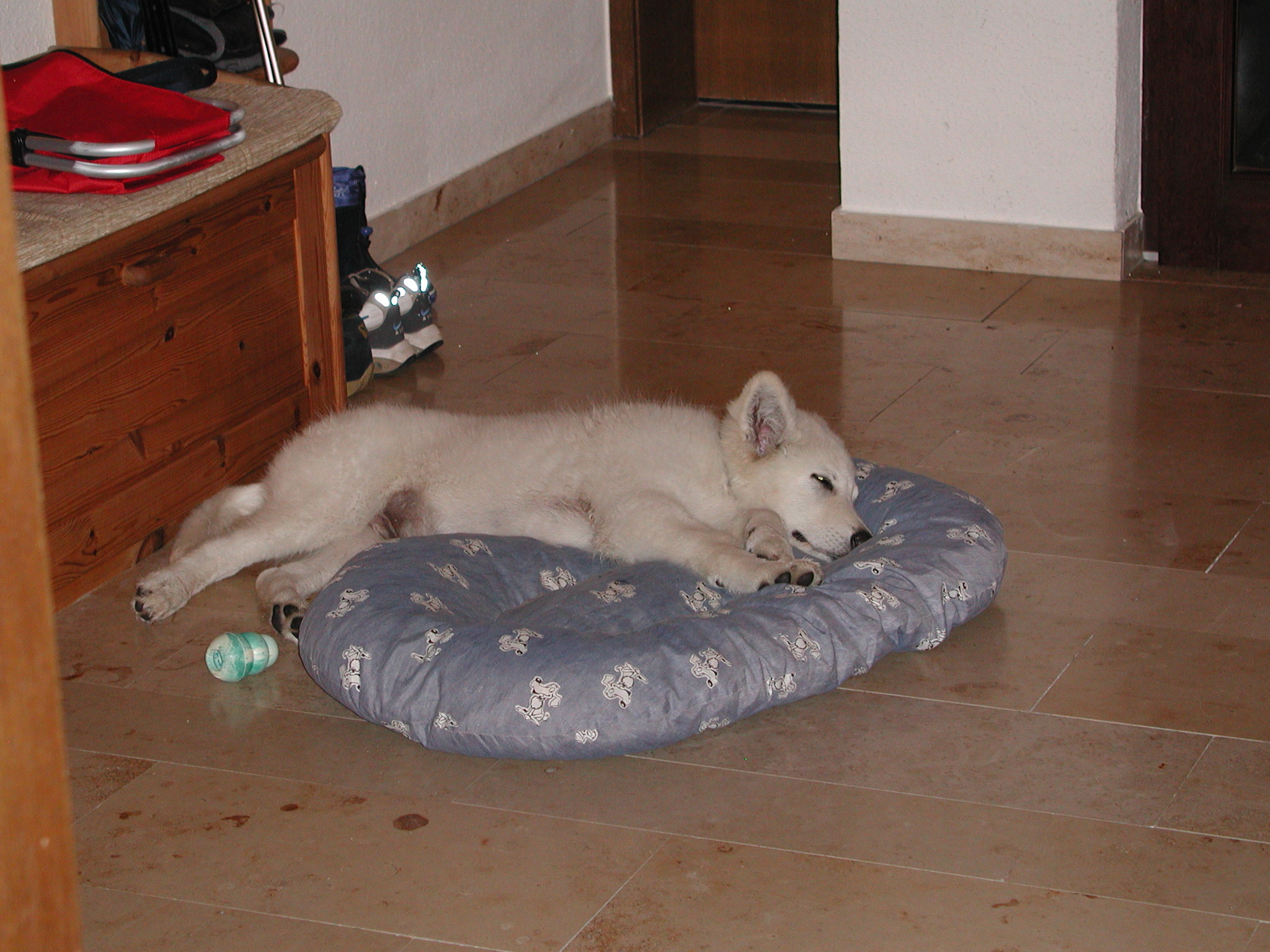 2010-10-16_1
