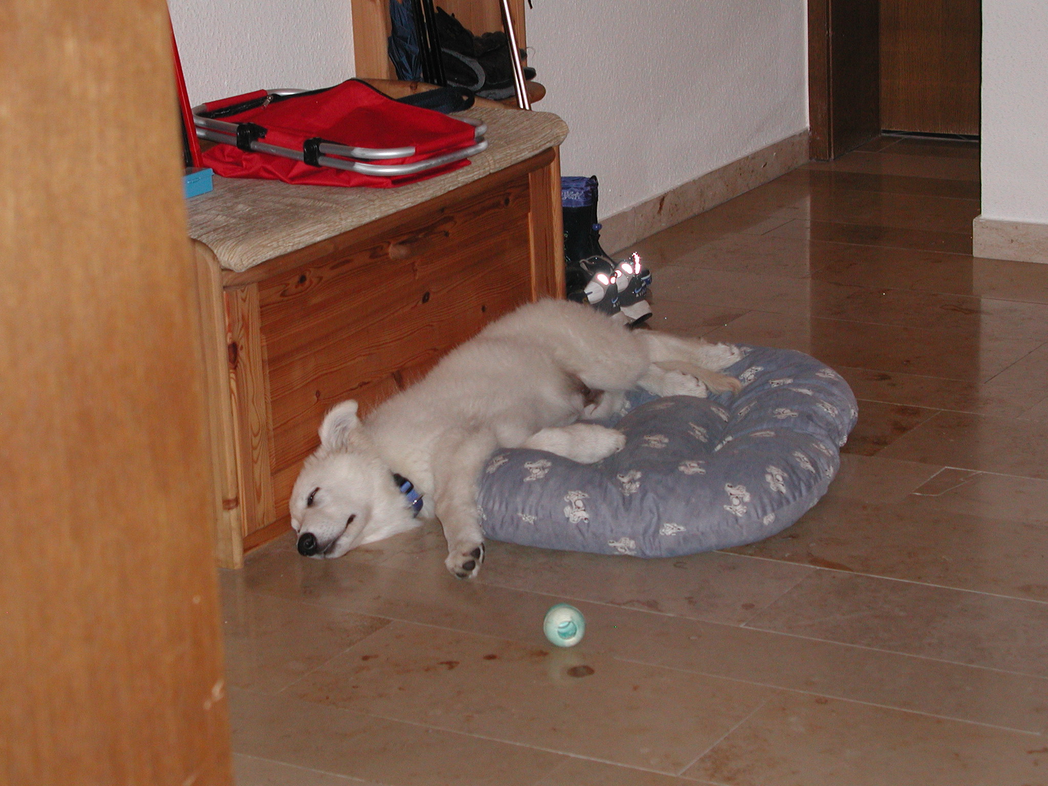 2010-10-16_3