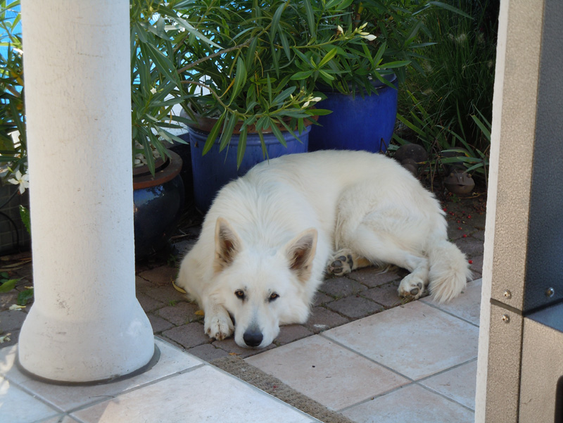 DSCN1129