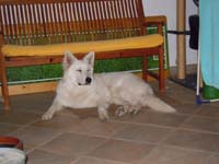 DSCN0477