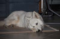 IMG_0032