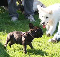 IMG_3569_franz