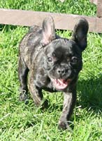 IMG_3645_fancy