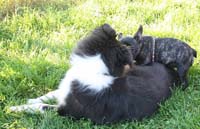 IMG_3752_fancy